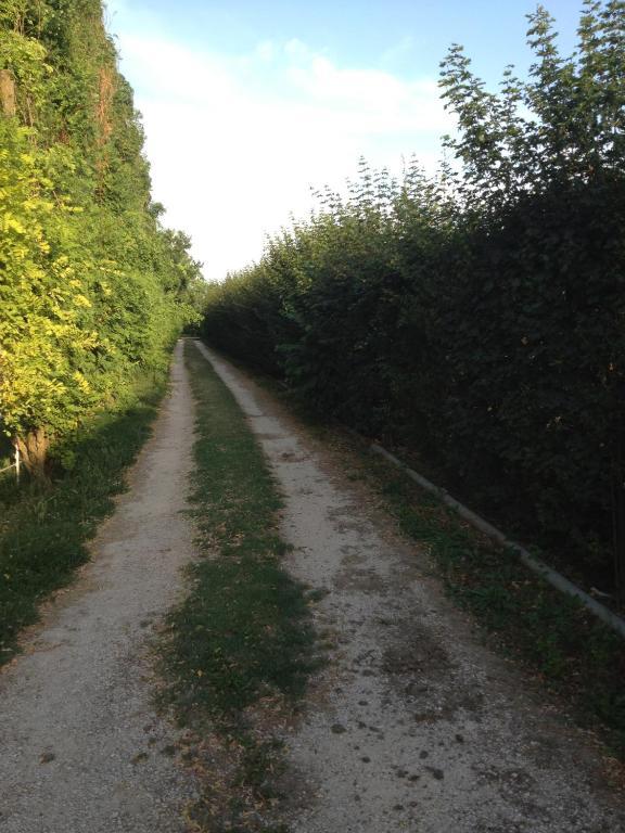 Societa Agricola Le More Agriturismo La Dondina Budrio  Zewnętrze zdjęcie