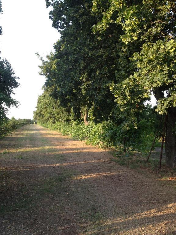 Societa Agricola Le More Agriturismo La Dondina Budrio  Zewnętrze zdjęcie